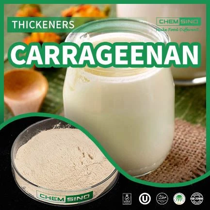 Carrageenan Boosts Texture Breakthroughs, Leading Trends in Food Industry! CAS NO. 9000-07-1