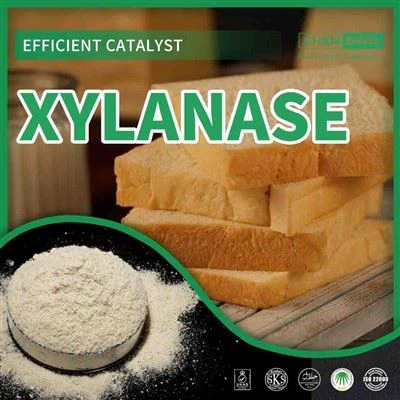 Xylanase Enzyme: Redefining Efficiency - CAS 9025-57-4 Xauv!