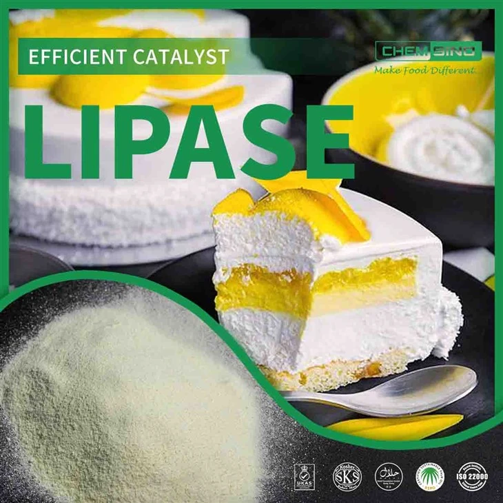 Pure Lipase Powder Rau Bakery Thiab Confectionery